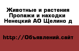 Животные и растения Пропажи и находки. Ненецкий АО,Щелино д.